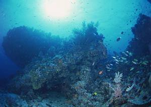 小田原駅東口から徒歩3分のビジネスホテル｜東横INN小田原駅東口の魅力と特徴