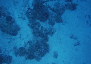 千葉駅から徒歩5分の快適なビジネスホテル｜東横INN千葉駅前の魅力と詳細情報