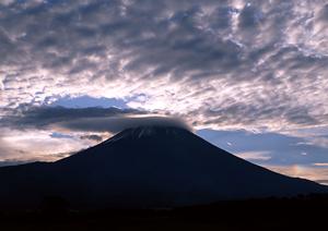 大阪市中心部に位置するコストパフォーマンス最高のビジネスホテル：東横INN新大阪中央口本館の魅力と詳細情報