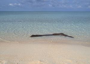 神奈川県横浜市にある快適なビジネスホテル【東横INN二俣川駅北口】の詳細情報と魅力