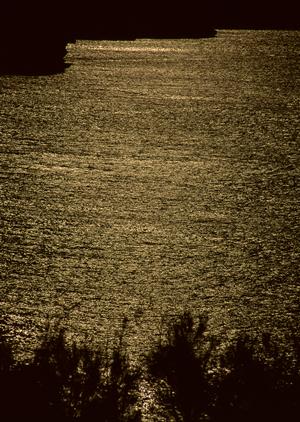 ペットがいても旅行を諦めない方法