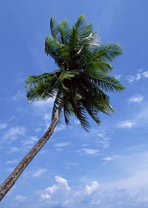 弘前駅から徒歩1分の快適な滞在！東横INN弘前駅前の魅力と最新情報