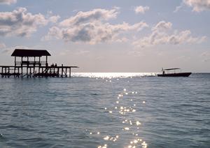 韓国・釜山海雲台の快適ステイを実現！東横INN釜山海雲台2の魅力と詳細ガイド