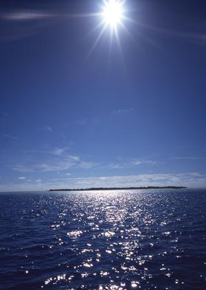 沖縄のビジネス・観光に最適な宿泊施設【東横INN那覇旭橋駅前】の魅力と店舗情報