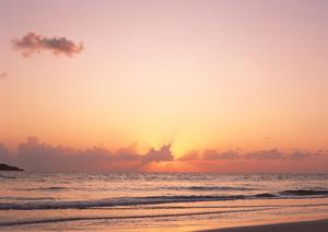 便利なパーソナルシステムのパチンコ店