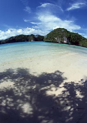 宴会コンパニオンの派遣を依頼できる会社