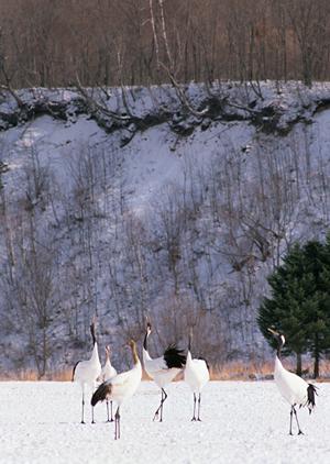 東京中央区・茅場町駅すぐそば！快適で便利なビジネスホテル「東横INN茅場町駅」の魅力と詳細情報