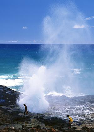 日本製釣り用品の魅力を余すところなく紹介