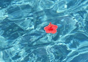 謎解きでワクワクしたイベントを提供する