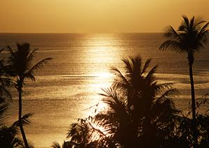 鹿児島市天文館に新たに誕生した【東横INN鹿児島天文館1】の魅力と詳細情報