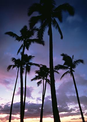 【公式情報をもとに】東横INN品川大井町：快適な宿泊を提供するビジネスホテルの魅力と詳細ガイド