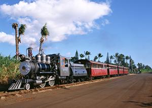 【公式】東横INN池袋北口1｜アクセス抜群の都心のビジネスホテルで快適な滞在を実現
