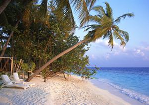 地域密着型の総合サービスを提供する[店舗名]の魅力と詳細情報