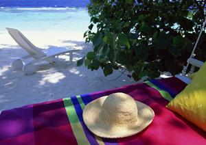 愛犬と楽しめる場所を探している人へ