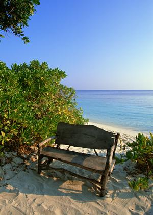 赤羽駅から徒歩3分！快適な滞在を提供する東横INN赤羽駅東口の魅力と詳細情報