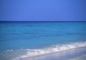 家族で楽しむ石垣島の旅！空港近くのレンタカーで快適な移動を実現する方法