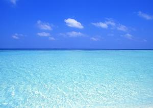 豊橋駅からすぐの便利なビジネスホテル