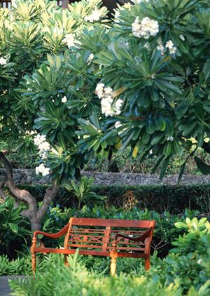 システムメンテナンスのお知らせ – サービス停止期間と影響について