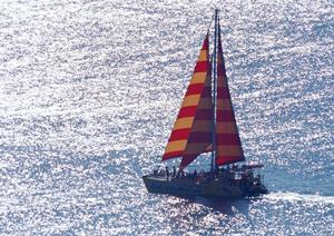 石垣島の魅力満載！自然体験から星空鑑賞まで楽しめるアクティビティ完全ガイド