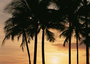 【公式情報から詳しく解説】東横INN横浜鶴見駅東口の魅力と便利なサービス概要